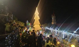 ‘Check-in' cây thông nón lá khổng lồ ở Đồng Nai 