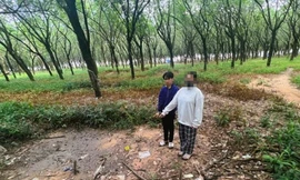 Bắt đối tượng nhiều lần xâm hại bạn gái 12 tuổi 