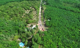 Đề xuất làm đường xuyên rừng, kết nối Đồng Xoài và Vành đai 4 TPHCM 