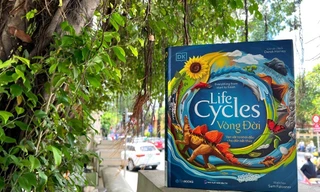 Sách hay mùa Trung Thu: Rước đèn rước cả tri thức từ sách khoa học