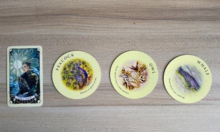 Tarot tuần này: Bảo Bình cần giữ “cái đầu lạnh”, Song Ngư ấp ủ sự lãng mạn