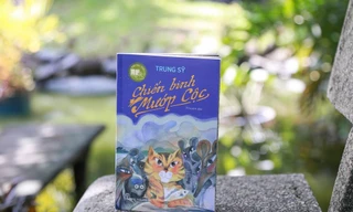 Chiến binh Mướp Cộc: Chuyến phiêu lưu ly kỳ và lạ lùng của một chú mèo