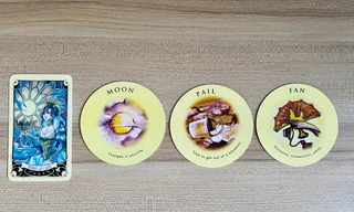 Tarot tuần này: Cự Giải coi chừng “tính già hóa non”, Xử Nữ đừng chỉ mộng mơ