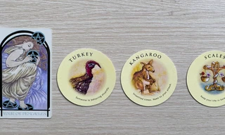 Tarot tuần này: Kim Ngưu cần nhìn xa trông rộng, Xử Nữ gặp được bạn tâm giao