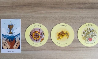 Tarot tuần này: Ma Kết đong đầy tình yêu thương, Song Ngư phát triển “thần tốc”