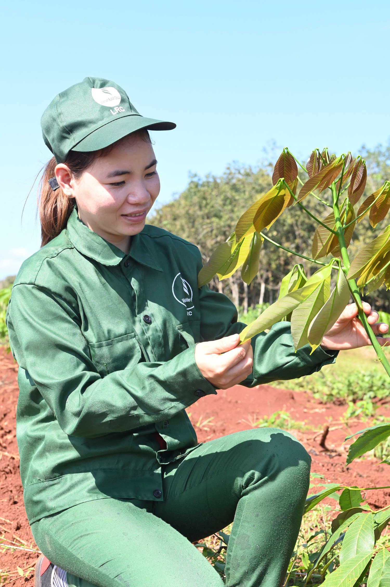 VRG vượt kế hoạch lợi nhuận năm 2025 ngay sau 9 tháng – Dấu ấn 96 năm bản lĩnh ngành Cao su Việt Nam | Báo điện tử Tiền Phong