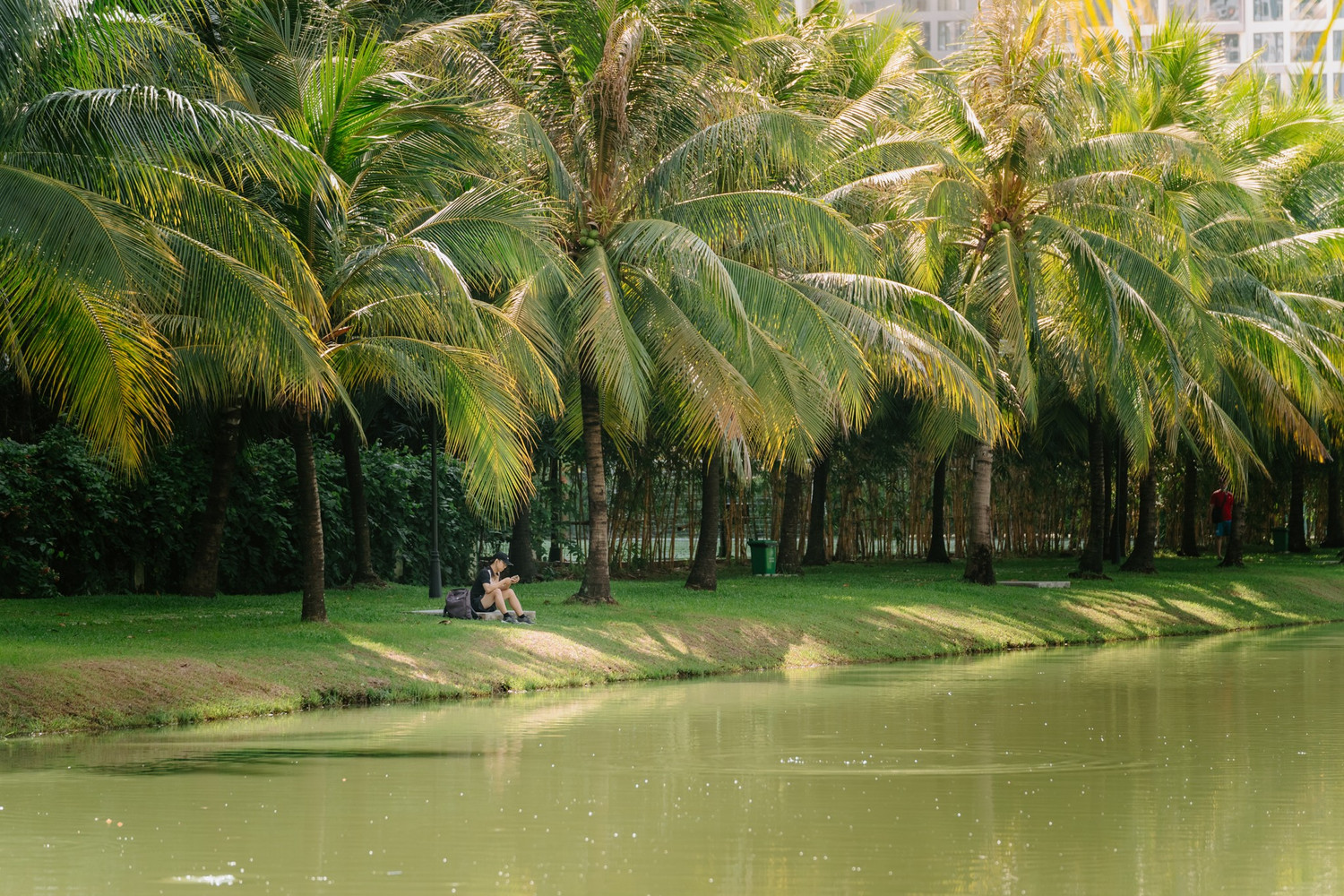 The Swan Lake - Nơi mỗi ngôi nhà là một 'ốc đảo xanh' cho tâm hồn an trú