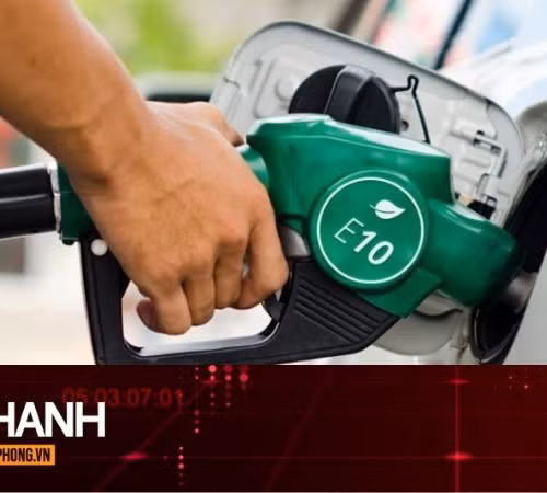 TIN NHANH: Hàng loạt hãng xe trả lời về khả năng tương thích của xăng E10