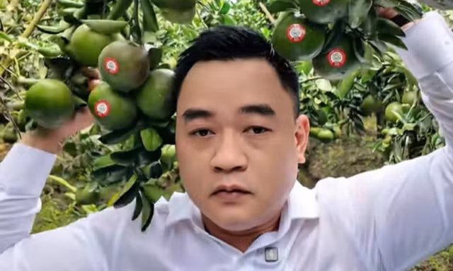 Hành trình từ trái xoài keo đến quả cam sành: A&D Hoàng Long nâng tầm giá trị trái cây Việt