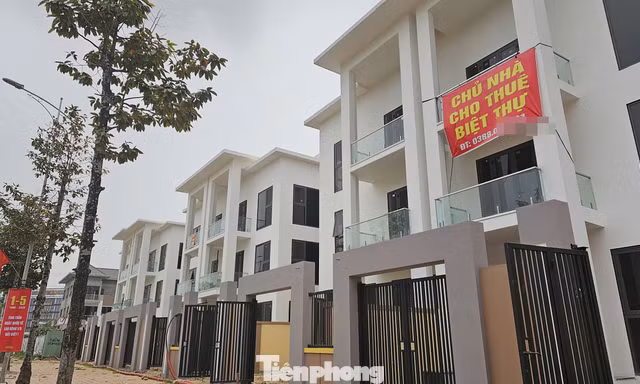 Giao dịch nhà ở thấp tầng Hà Nội giảm mạnh, giá đi ngang