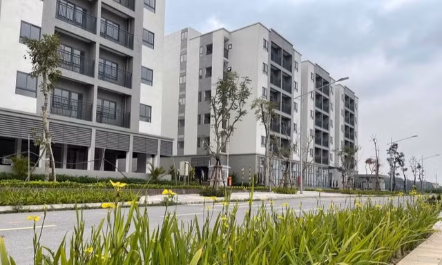 Hà Nội mở bán căn hộ NƠXH giá dưới 1 tỷ đồng/căn 