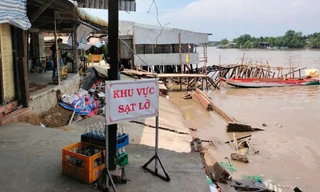 Liên tiếp sạt lở, Cà Mau ứng phó khẩn