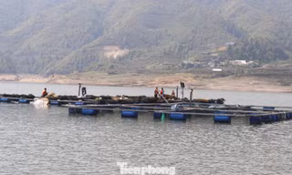 Giải cứu hồ Séo Mý Tỷ ở Lào Cai