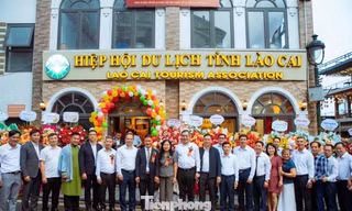 Lào Cai bàn giải pháp phát triển du lịch 4 mùa