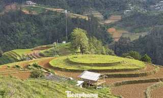 Danh thắng quốc gia ruộng bậc thang khô hạn trong mùa nước đổ