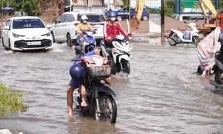 Cà Mau vận hành hơn 300 cống, đập ứng phó triều cường có thể vượt báo động 3