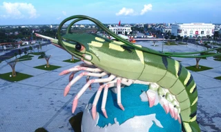 Cận cảnh con tôm 22 tỷ đồng ở Cà Mau