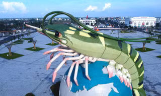 Cận cảnh con tôm 22 tỷ đồng ở Cà Mau