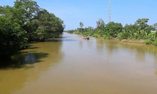 Truy tìm cá sấu ‘sổng chuồng’ ở Cà Mau 