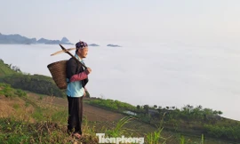 Chàng trai người Mông và hành trình đưa bà con cùng thoát nghèo