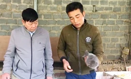 Câu chuyện thoát nghèo của anh nông dân người Thái