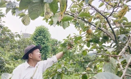 Người thầy gieo chữ, gieo mầm giảm nghèo bền vững ở nơi 'đá nhiều hơn đất'