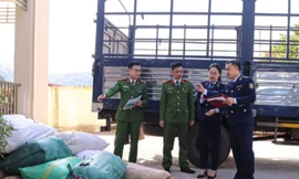 Phát hiện hơn 2,3 tấn nội tạng bốc mùi từ Sơn La về Ninh Bình 