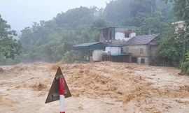 Phú Thọ, Lào Cai di dời hơn 1.000 hộ dân tránh mưa lũ, sạt lở sau bão số 10