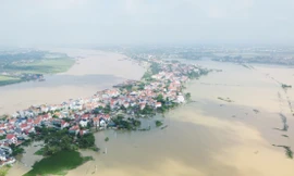 Nước sông Lô lên cao, nhiều khu dân cư ở Phú Thọ vẫn chìm trong biển nước