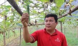 Người mở lối cho nông dân thoát nghèo