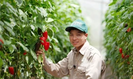 Bí quyết làm giàu của anh giám đốc HTX nông nghiệp 'tay ngang'