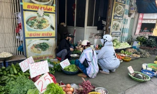 Hàng loạt rau củ bất ngờ chỉ còn 10.000 đồng/kg