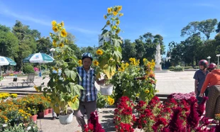 Người dân TPHCM mua hoa sớm, tiểu thương bán hết hàng trước cao điểm