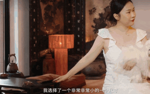 Góc thưởng thức trà nhìn ra vườn, phòng bếp hiện đại, phòng để đồ và không gian xem phim nhà Hoắc Tư Yến đều được thiết kế với các phong cách khác nhau.