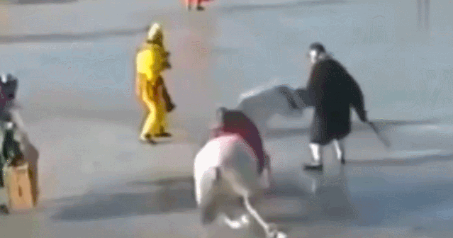 Chú ngựa Bạch Long Mã theo chân đoàn phim suốt 6 năm, nhưng sau đó bị bỏ rơi. Chú ngựa Bạch Long Mã theo chân đoàn phim suốt 6 năm, nhưng sau đó bị bỏ rơi.