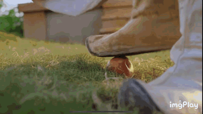 Cảnh hôn &quot;kinh điển&quot; khiến người xem bất ngờ trong Song thế sủng phi do Lương Khiết và Hình Chiêu Lâm đóng chính.