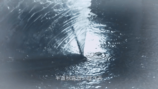 Chiêu thức võ thuật trong phim rõ ràng, có lực, đem lại cảm giác mãn nhãn cho người xem.