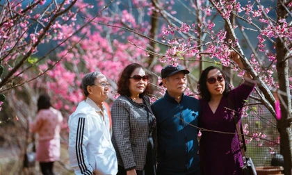 Huế đón 85.000 khách, Quảng Ngãi bội thu dịp Tết Dương lịch 