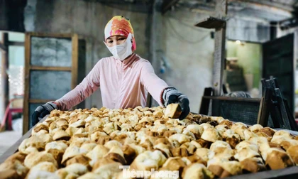 'Đột nhập' lò bánh thuẫn trăm năm ngày áp Tết