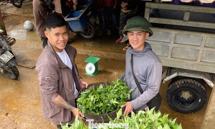 Nhóm bạn vượt núi chở nông sản vùng cao về phố, khách liên tục 'chốt đơn'