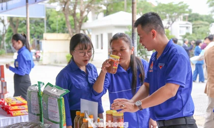 Sôi động sân chơi đổi mới sáng tạo cho giới trẻ Đà Nẵng