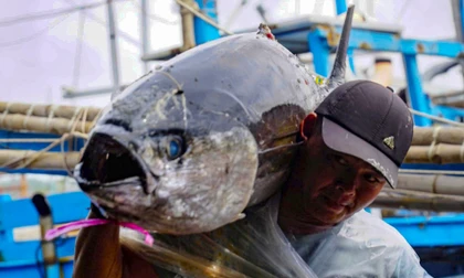 Chuyến biển mở hàng năm mới, tàu câu cá ngừ đại dương của ngư dân Gia Lai cập bến đầy khoang