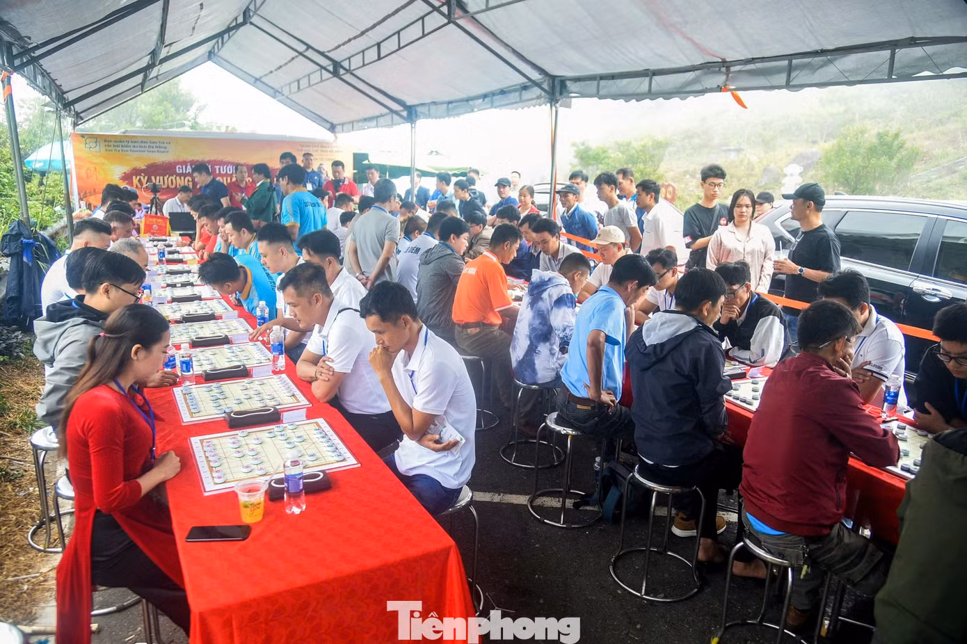 tp-danh-co-tren-dinh-ban-co-5.jpg