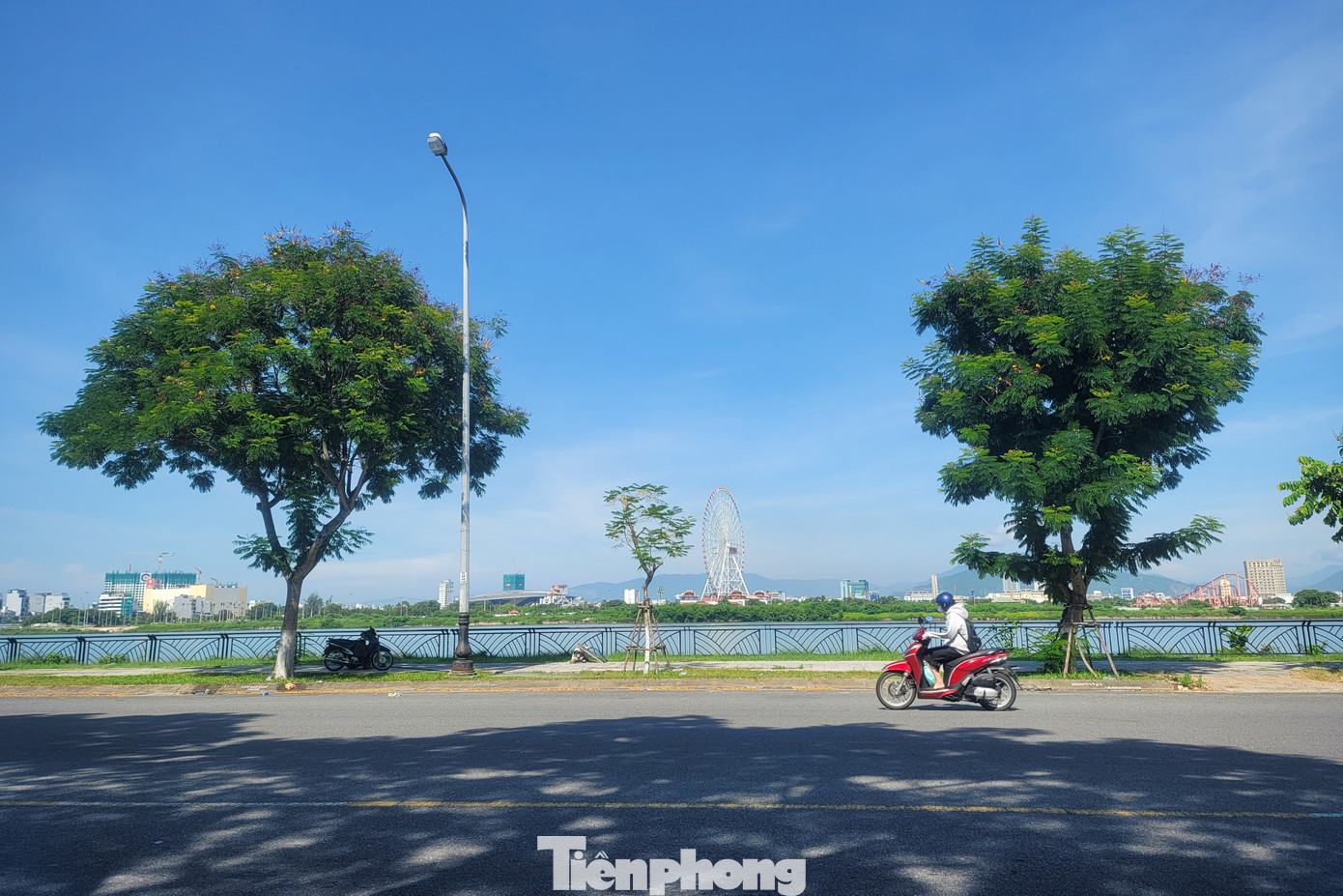 tp-to-hop-phao-hoa-da-nang-3.jpg
