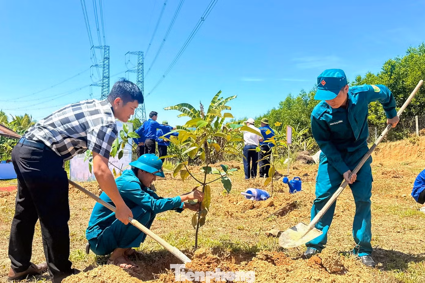 tp-vuon-cay-thanh-nien-3.jpg