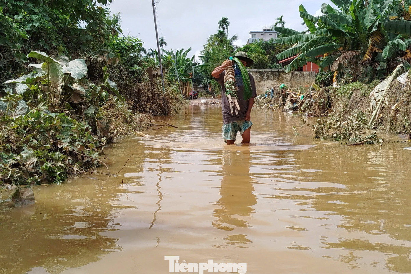 tp-nguoi-dan-ron-lu-20.jpg