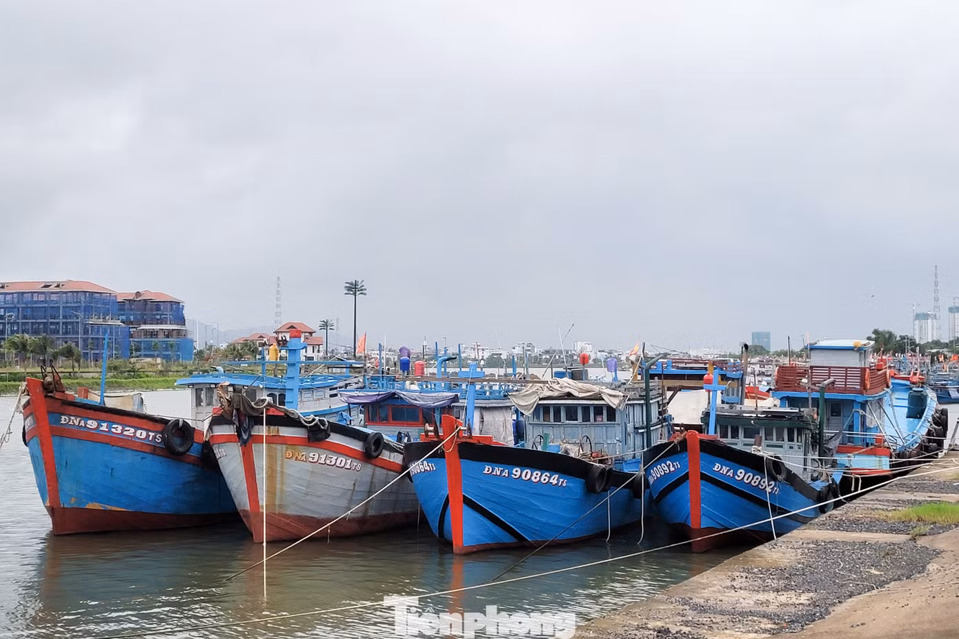 tp-du-thuyen-nup-bao-7.jpg