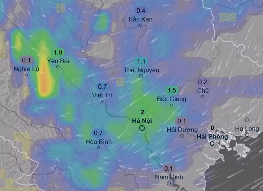 rain-jan20-night.jpg