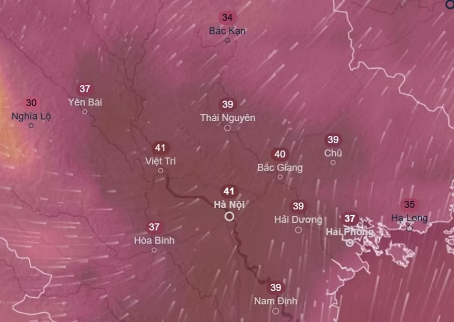 Nhiệt độ cảm nhận ngoài trời ở Hà Nội tăng cao trong đợt nắng nóng.