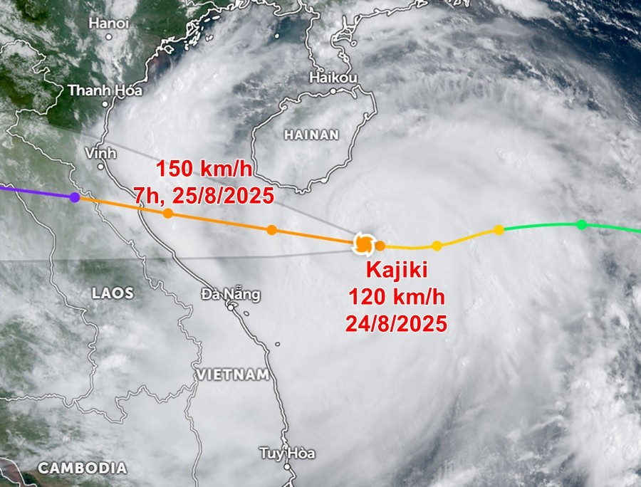 Vị trí hiện tại và đường đi dự báo của bão số 5 Kajiki. Ảnh: Zoom Earth, JMA/ NOAA/ CIRA, Himawari, JTWC. track.jpg